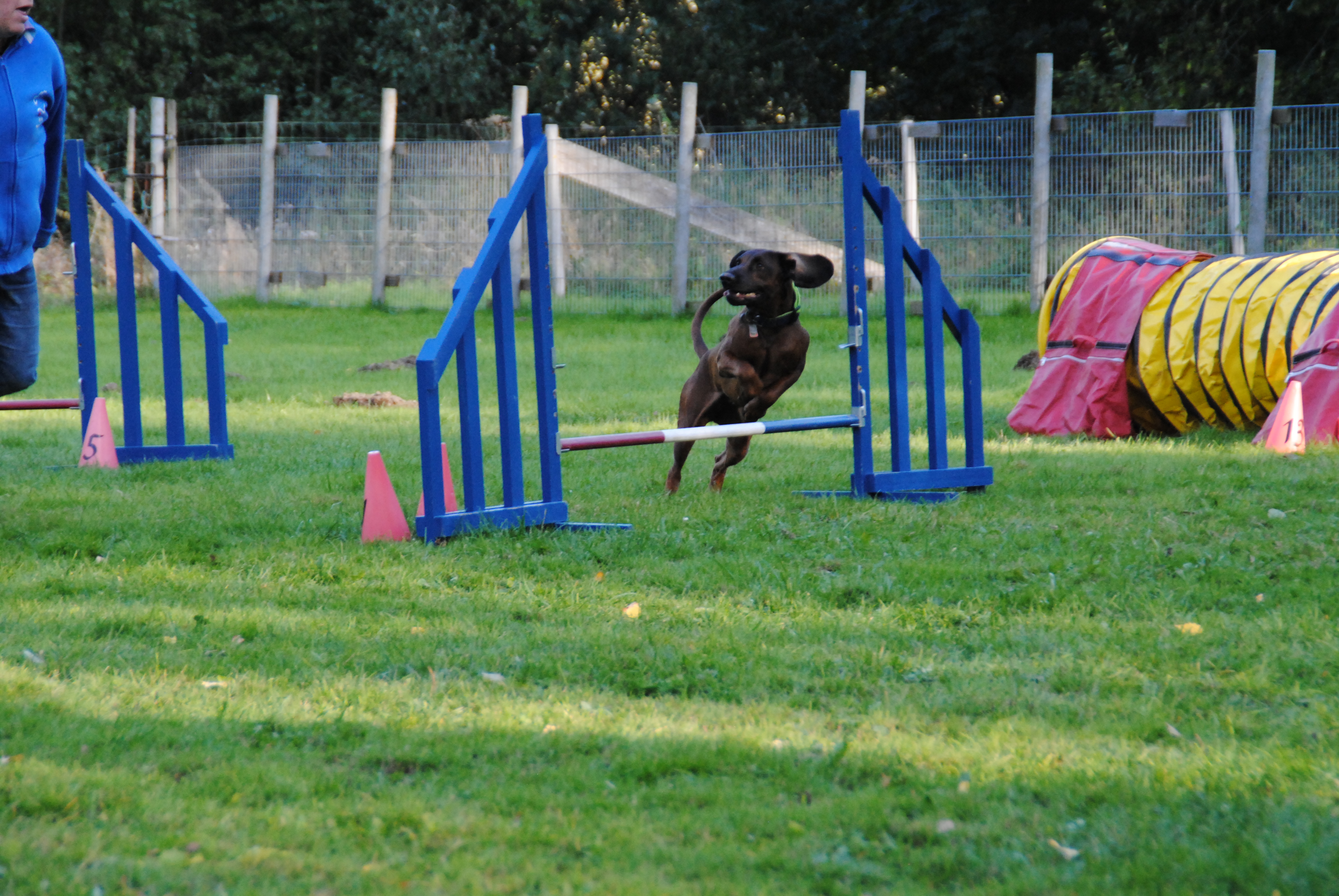 Agility Team Eifel – Hundesport